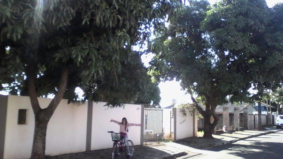 Aconchego Lar Cama E Cafe Bed & Breakfast Foz do Iguacu Exterior photo